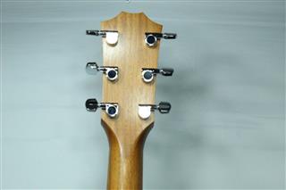 TAYLOR GUITARS 214CE DLX